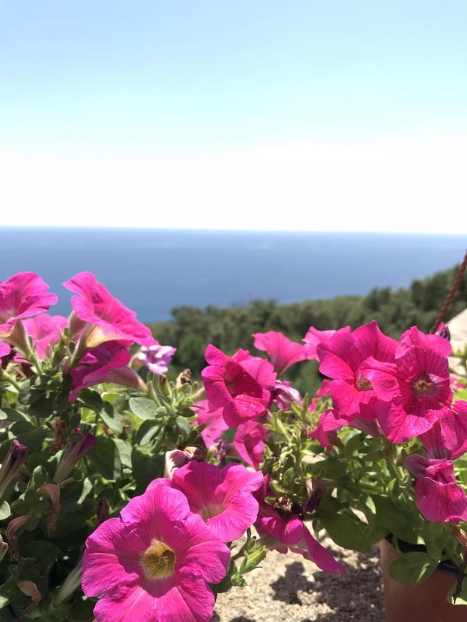 Il Terrazzo - Galatea Casa Vacanze Gagliano del Capo Kültér fotó